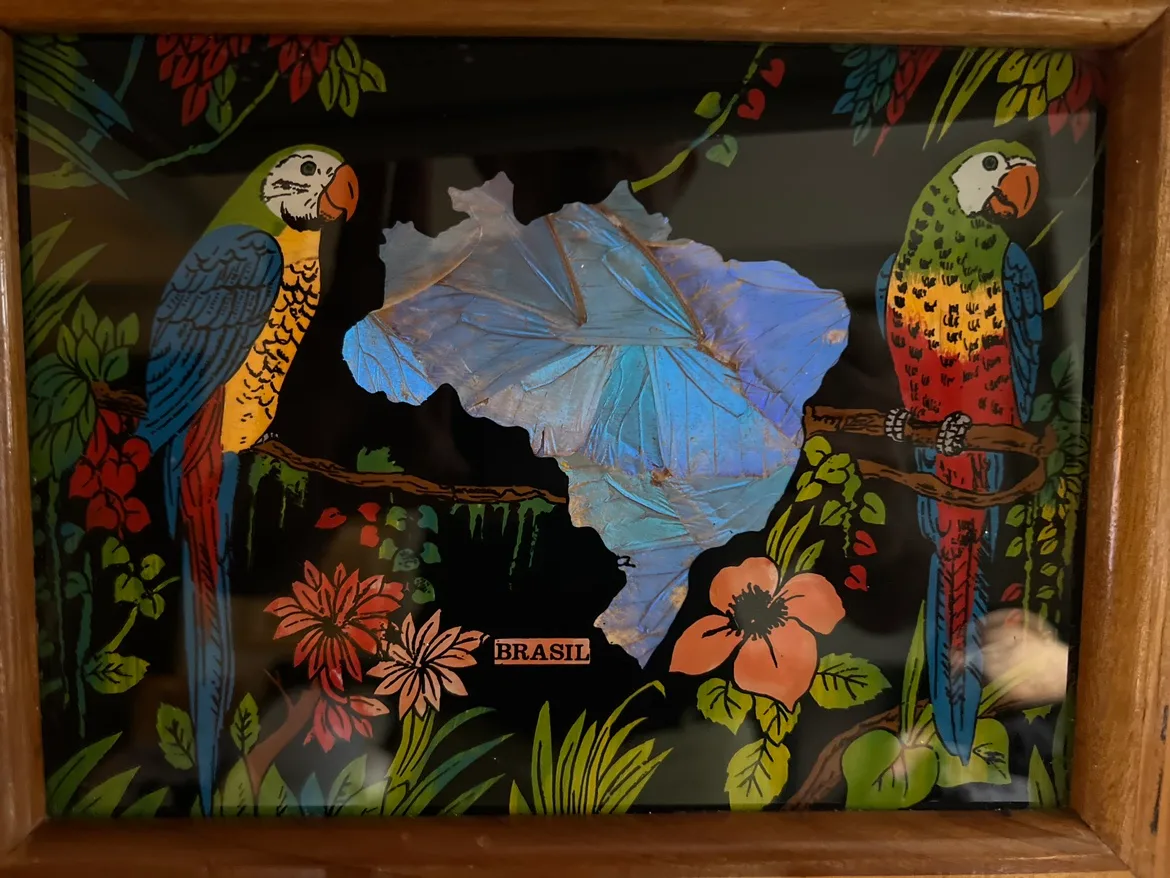 MCM Wooden Tray with Parrot Design image indicator(2)