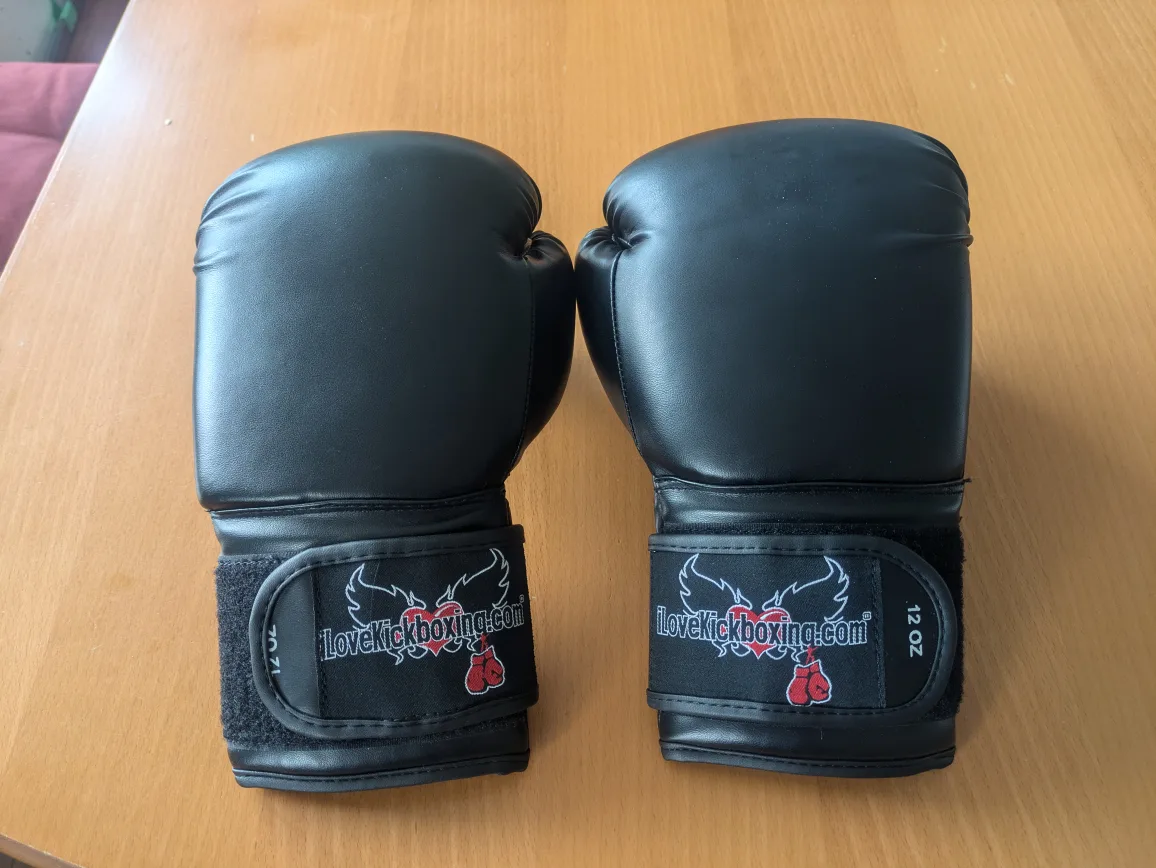 KickBoxing Gloves #freecycle thumbnail