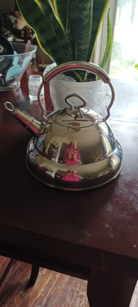 PROFESSIONAL CULINARY ESSENTIALS STAINLESS STEEL KETTLE thumbnail