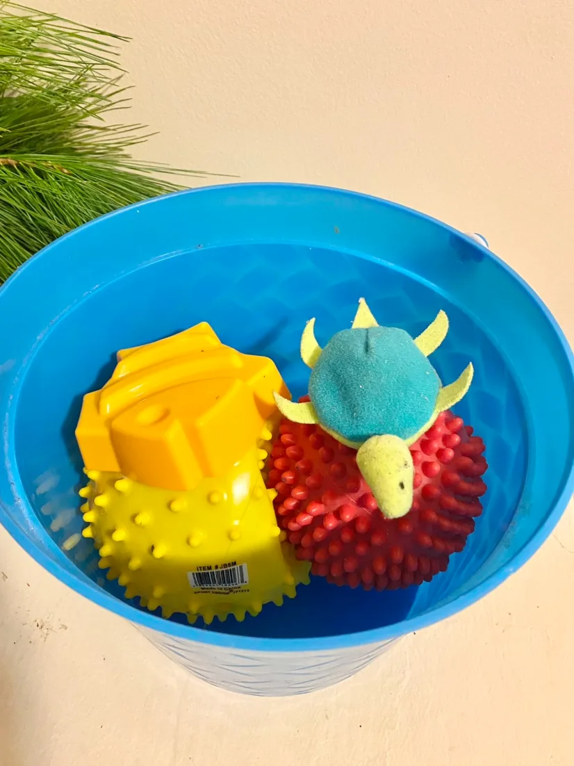 Blue Bucket with Toys turtle fish frog spiky ball image indicator(2)