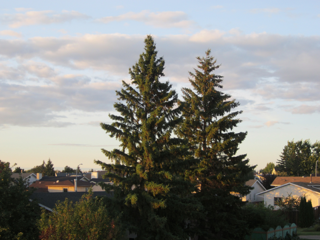 Canon PowerShot A2200 (with photo samples) - photo 5