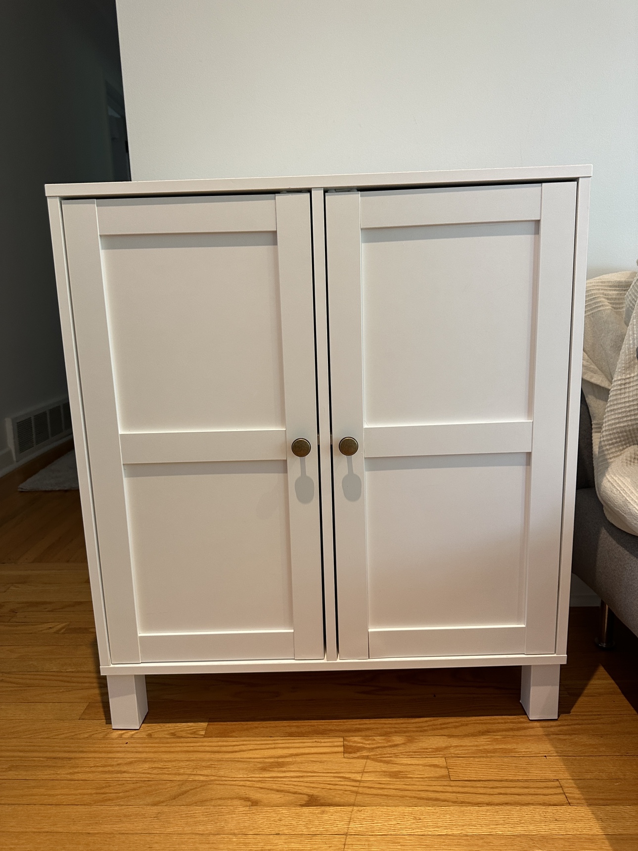White Cabinet with Two Doors