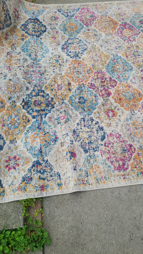 living room/ bedroom  rug