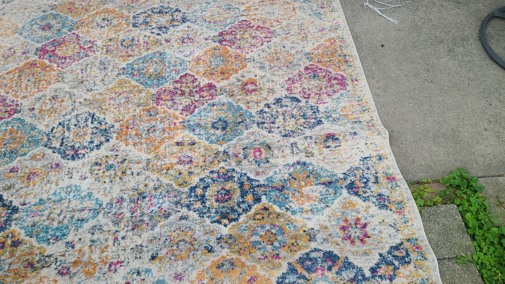 living room/ bedroom  rug - photo 2