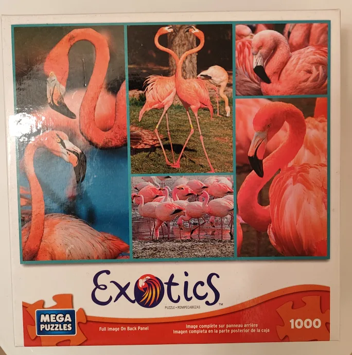 #freecycle puzzle thumbnail