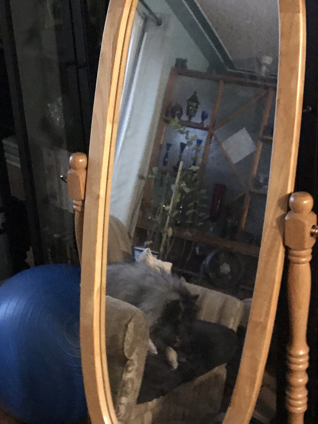 Full Length Wooden Mirror - photo 3