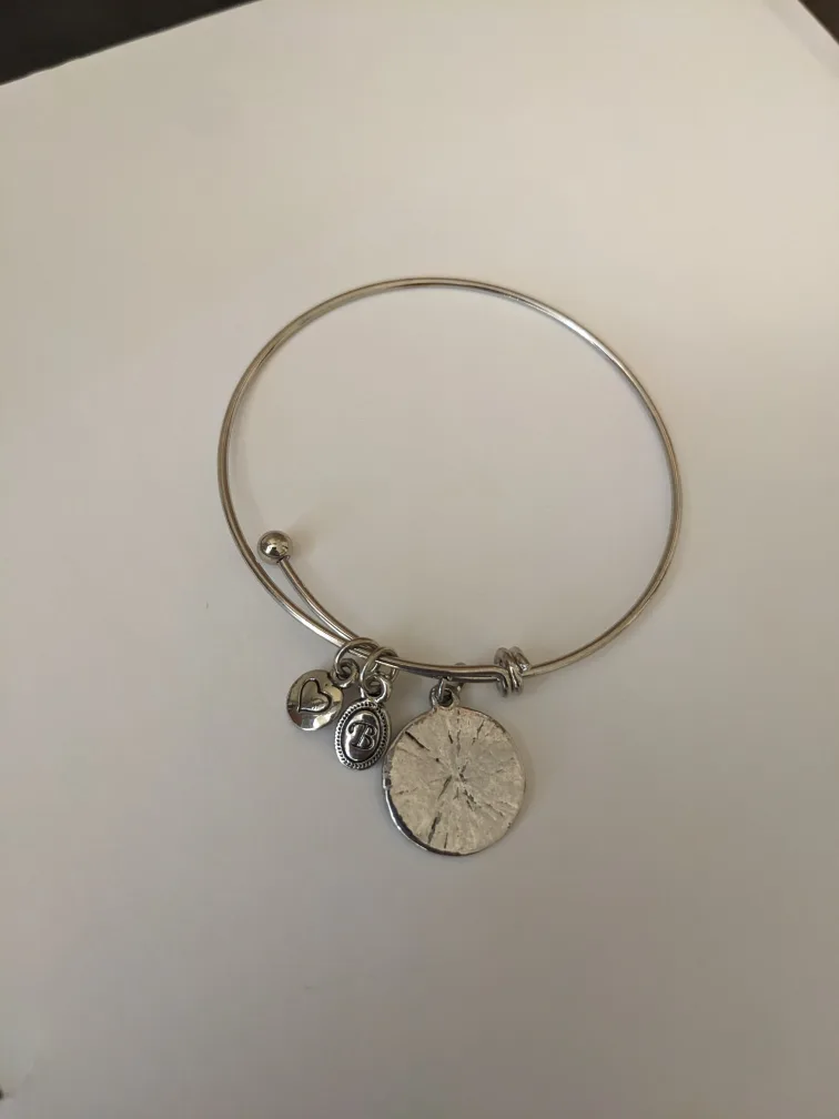 Silver Expandable 3 Charm Bracelets (2) image indicator(2)