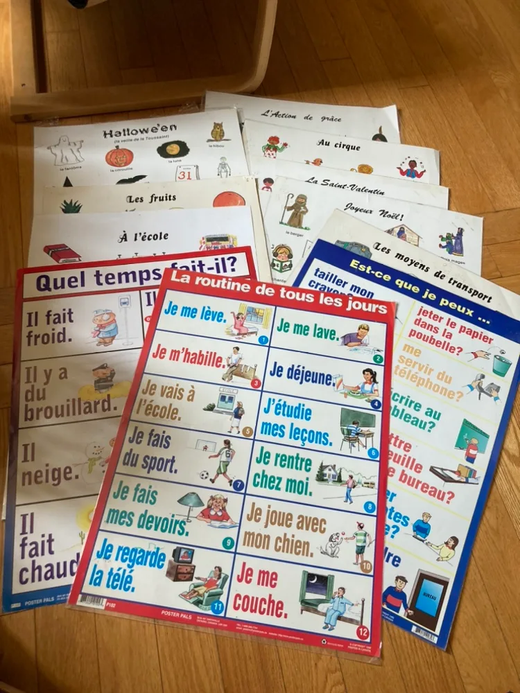 11 French Language Learning Posters thumbnail