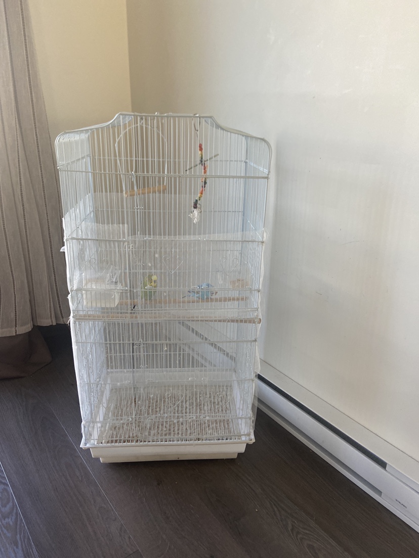 Large Bird Cage - photo 2