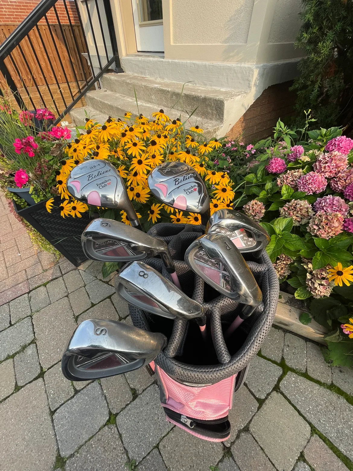 Belleair Ladies Golf Club Set image indicator(3)