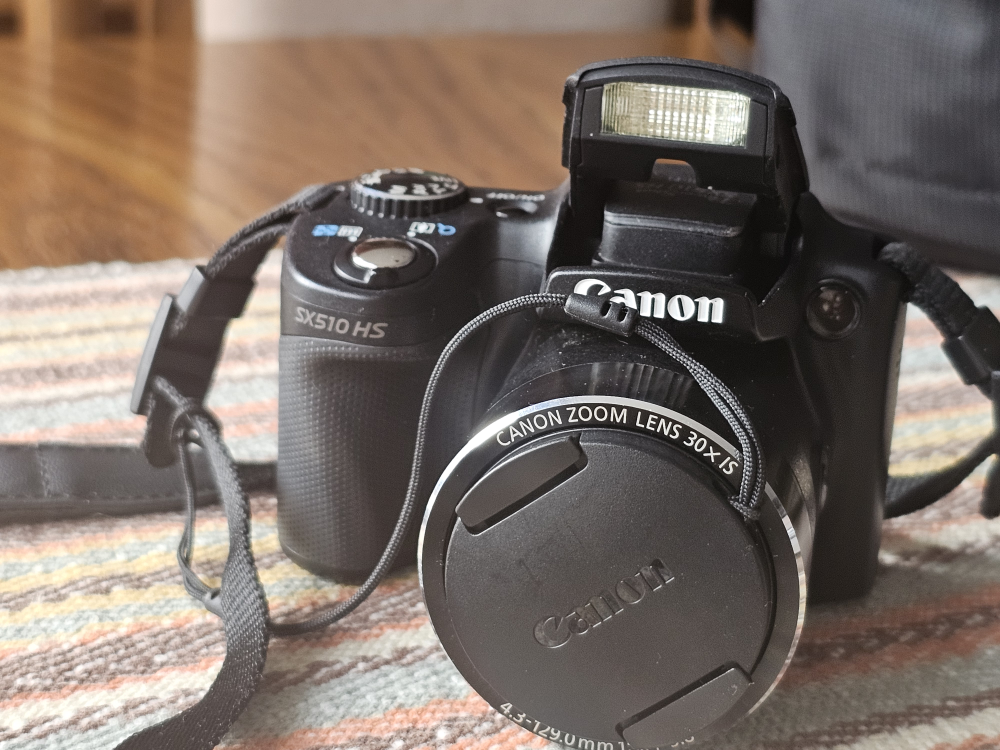 Canon Powershot SX510 HS with Case - photo 2