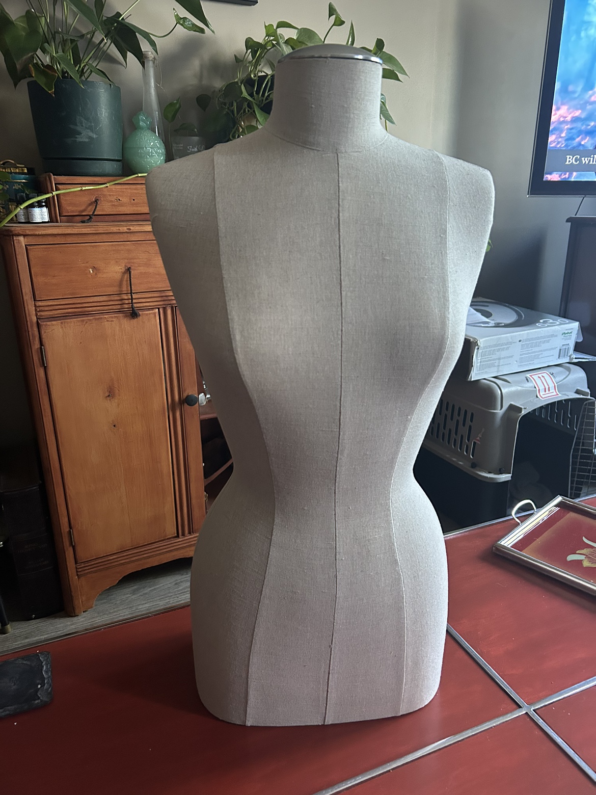 Female Dress Form Mannequin