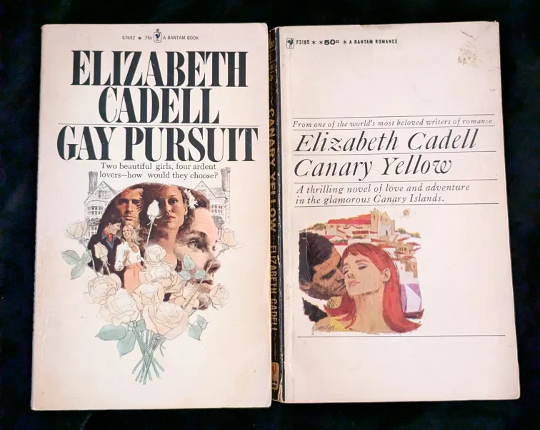 Elizabeth Cadell Books - Lot of 7 image indicator(3)