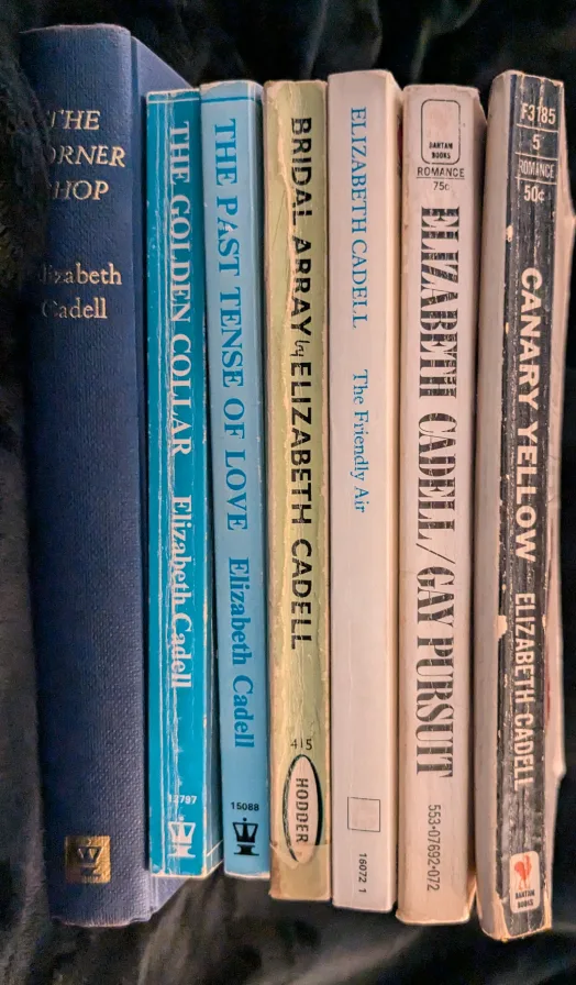 Elizabeth Cadell Books - Lot of 7 image indicator(5)