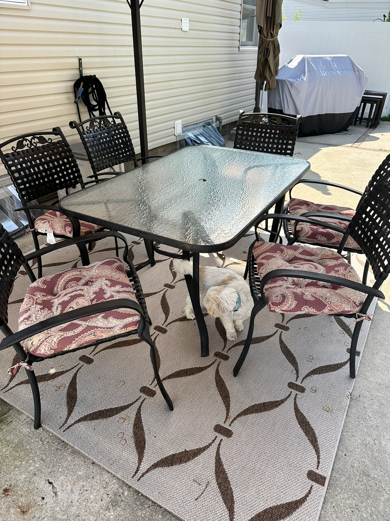 outdoor glass table 6 chairs and cushions - photo 3