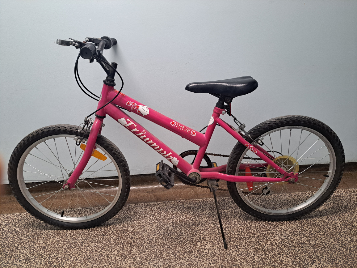 Triumph 20" Girls Bike
