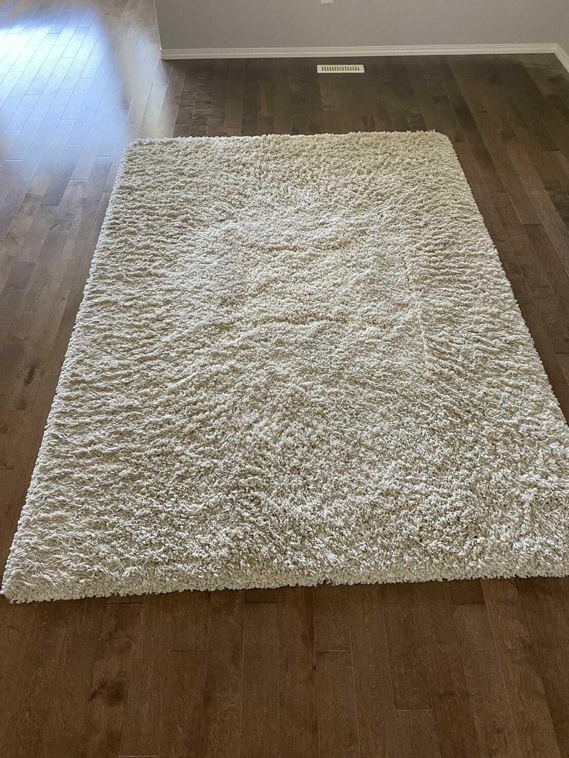 Cream Shag Rug - photo 4