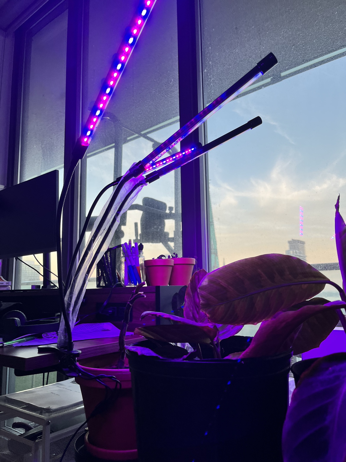 Plant Grow Lights - photo 2