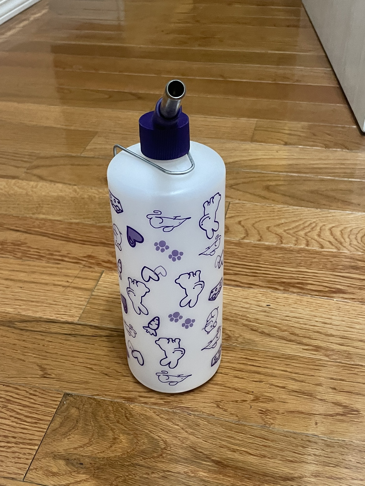 Pet Water Bottle