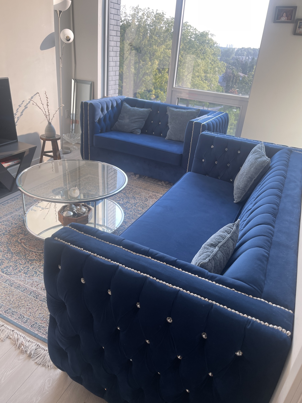 Blue Velvet Sofa Set