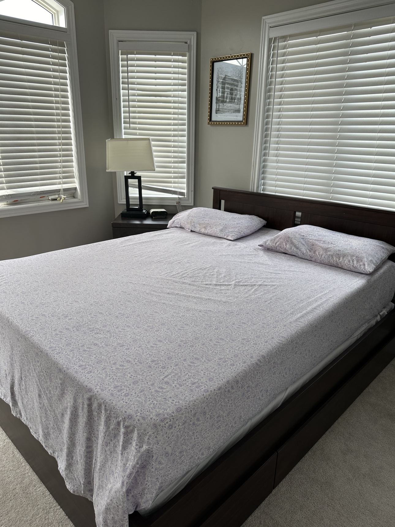 Queen Bed Frame with Storage/ Mattress/ spring box
