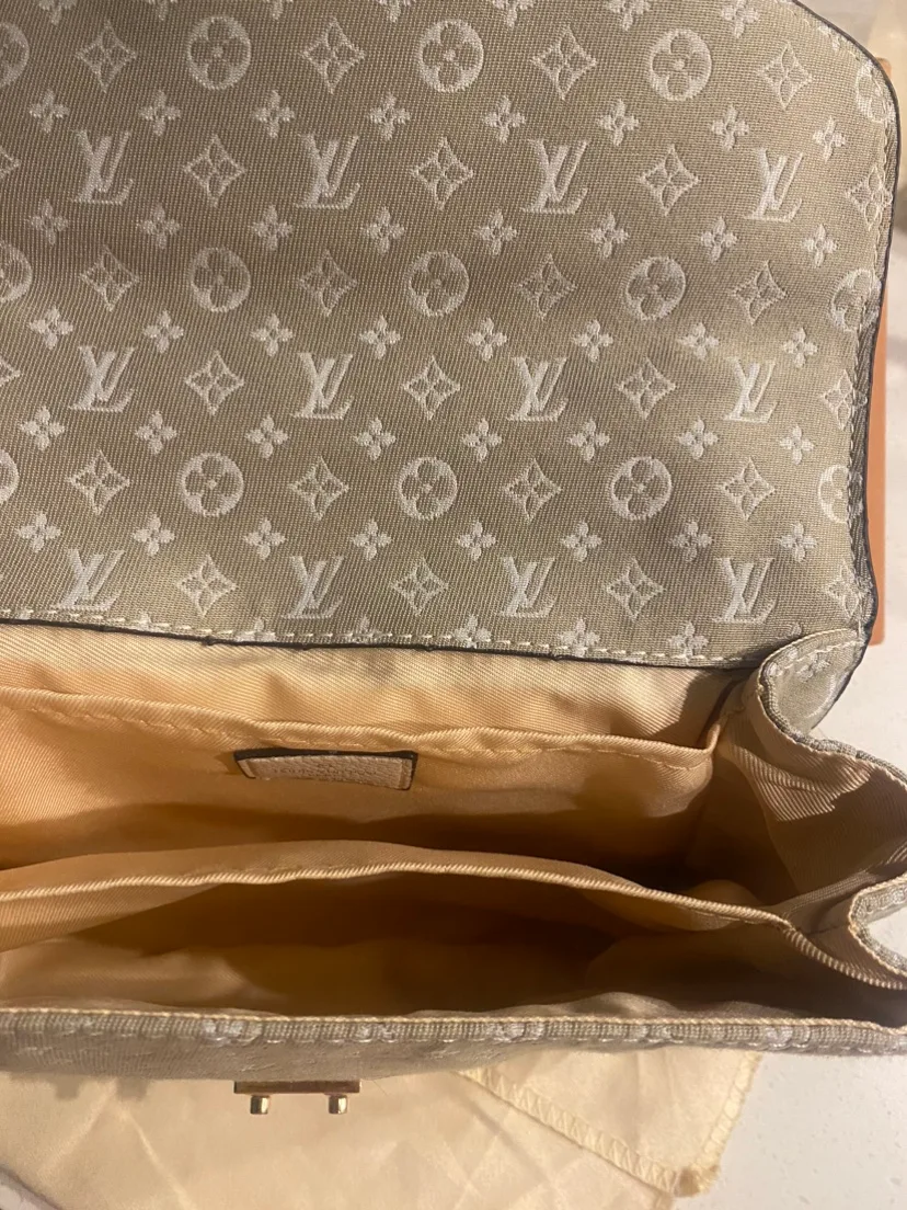 Louis Vuitton Purse image indicator(4)