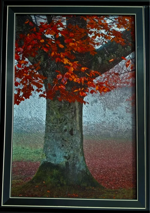 Framed Triptych of Autumn Trees image indicator(2)