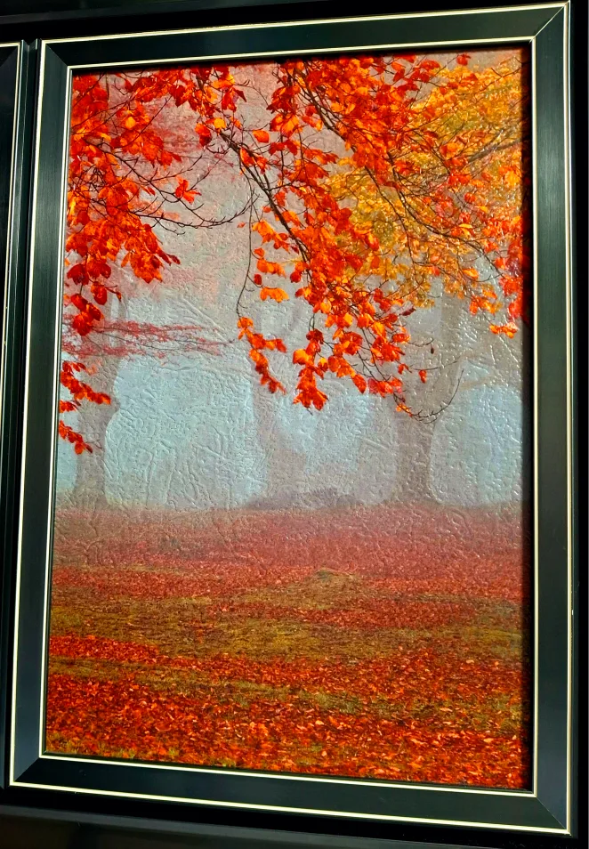 Framed Triptych of Autumn Trees image indicator(4)