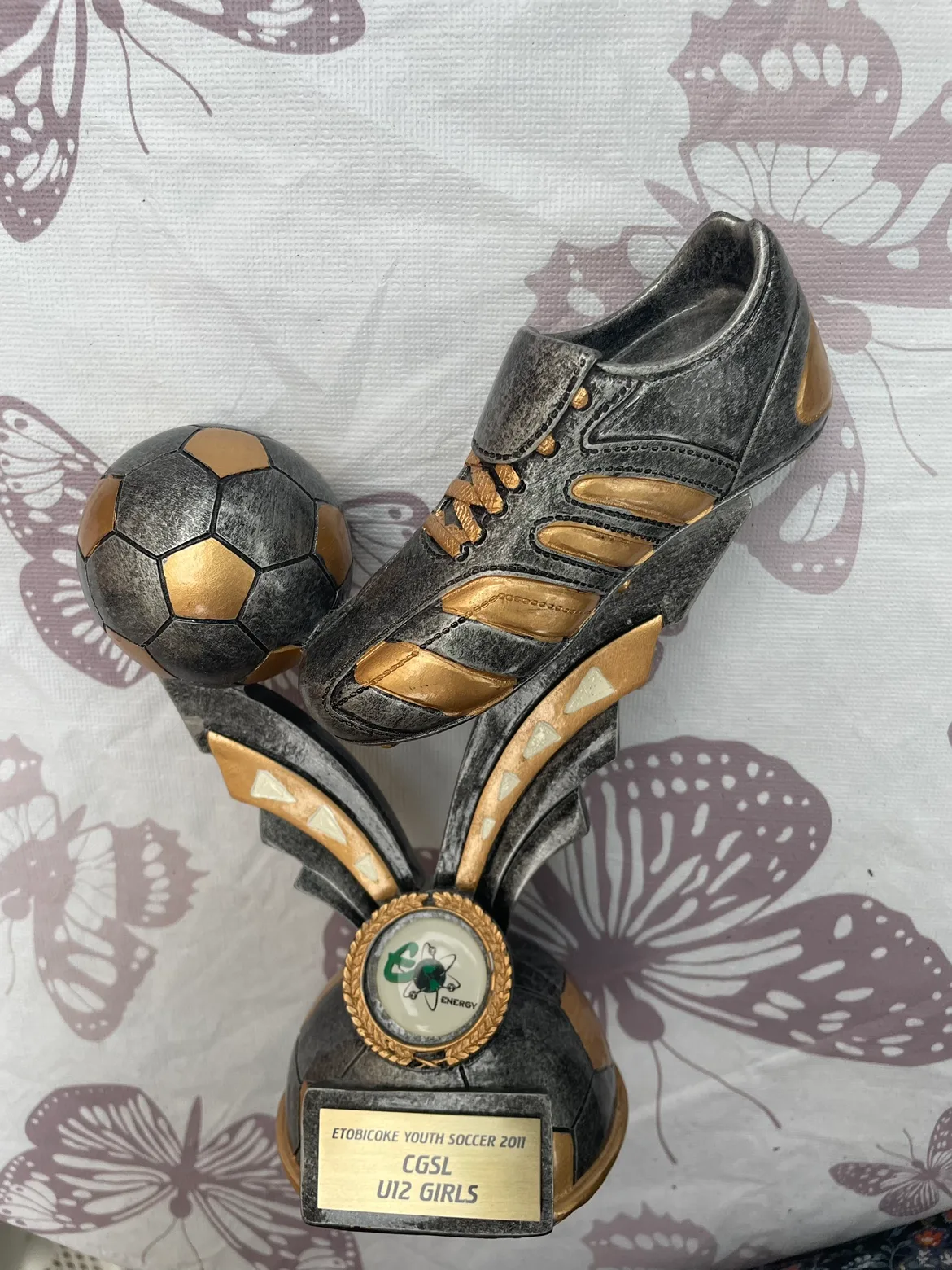 Soccer Trophy - #freecycle thumbnail