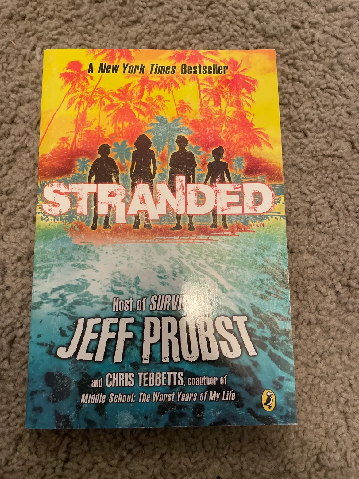 Stranded by Jeff Probst thumbnail