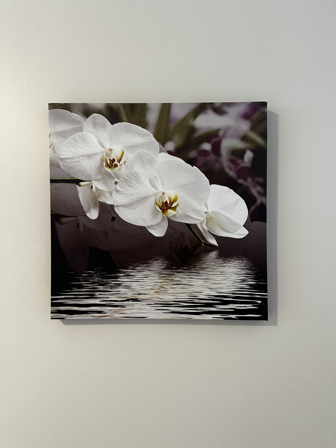 Orchid Canvas Wall Art