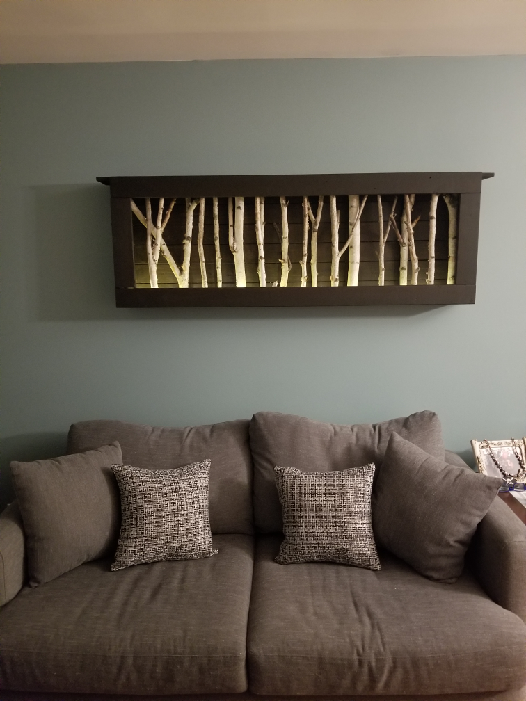 Two Grey Couches with cushions