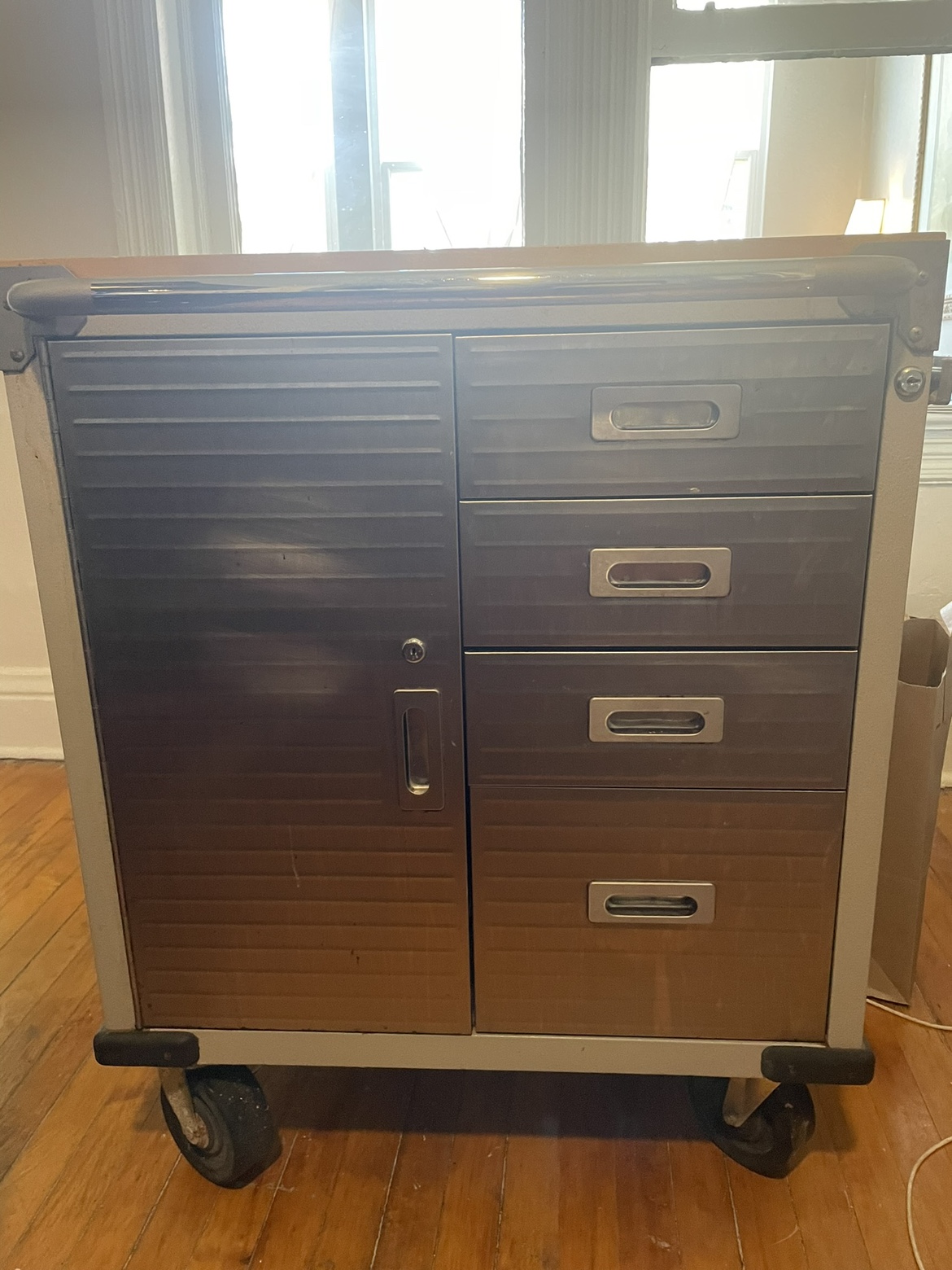 Rolling Storage Cabinet