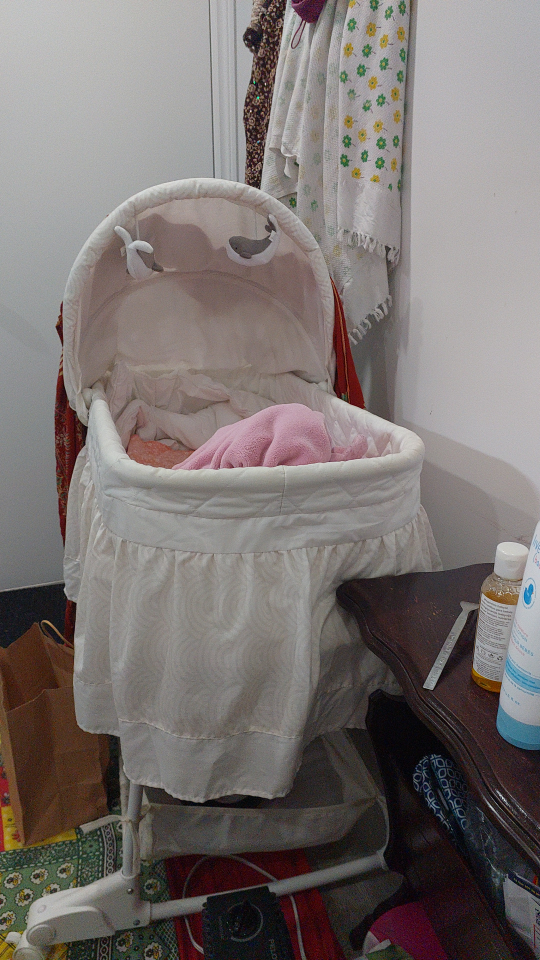 Baby Swing bassinet