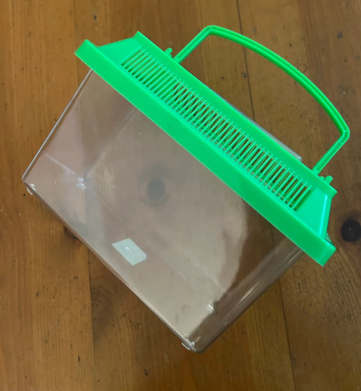 Small Critter Carrier Cade #freecycle thumbnail