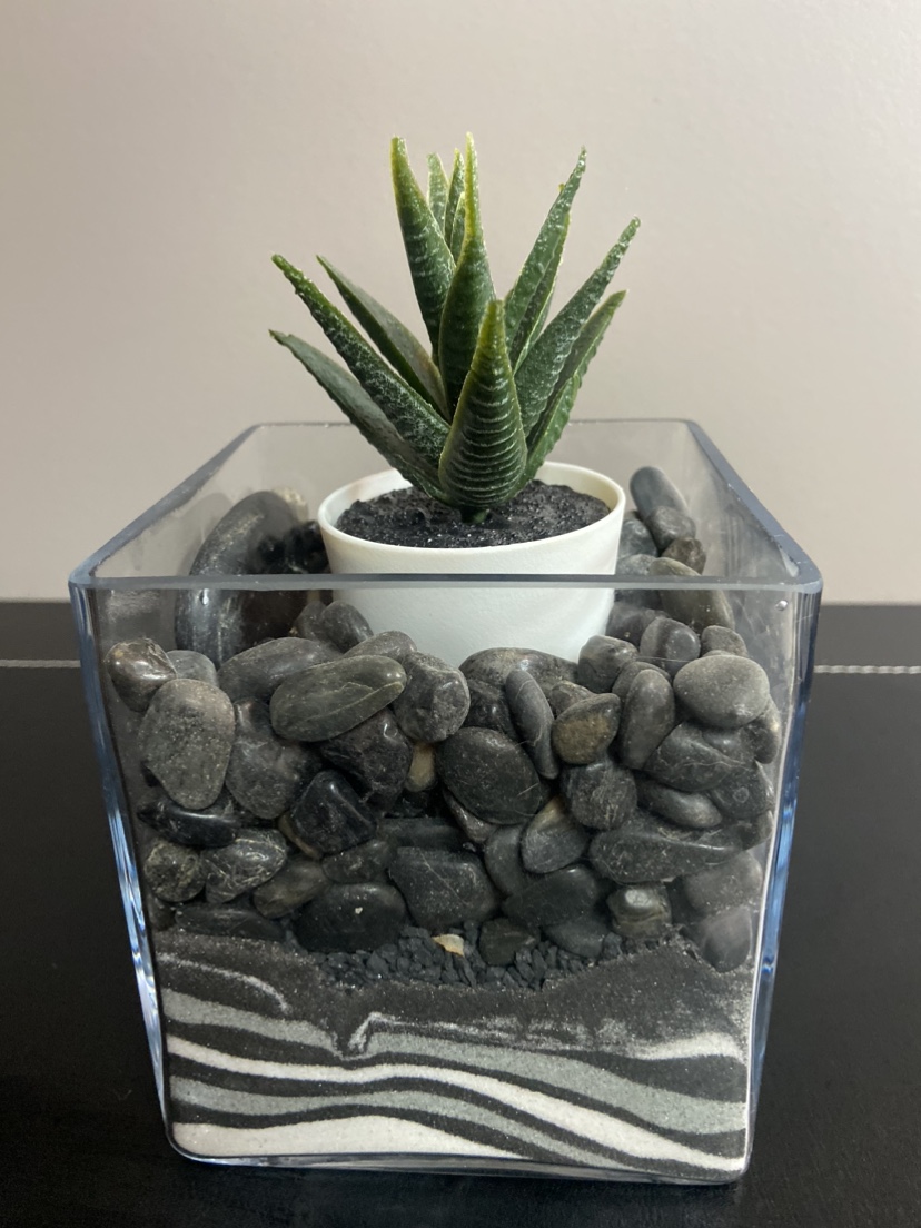 Square glass vase clear with artificial plant Believe - photo 4
