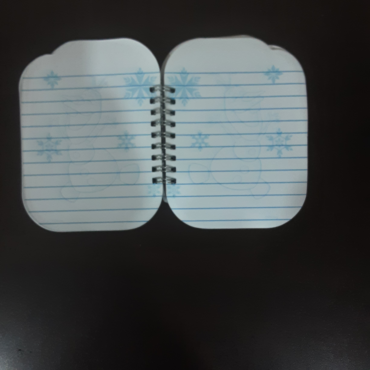 #freecycle Frozen Notebook - photo 2