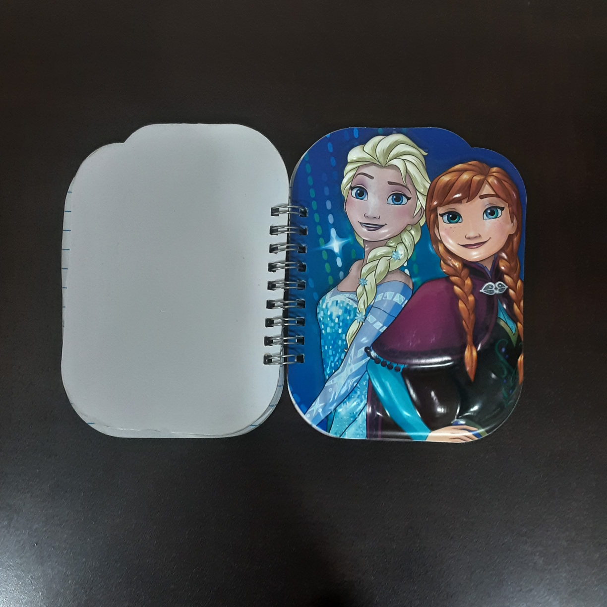 #freecycle Frozen Notebook - photo 3