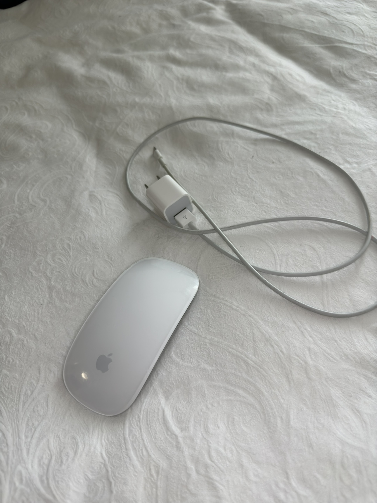 Apple Magic Mouse - photo 2