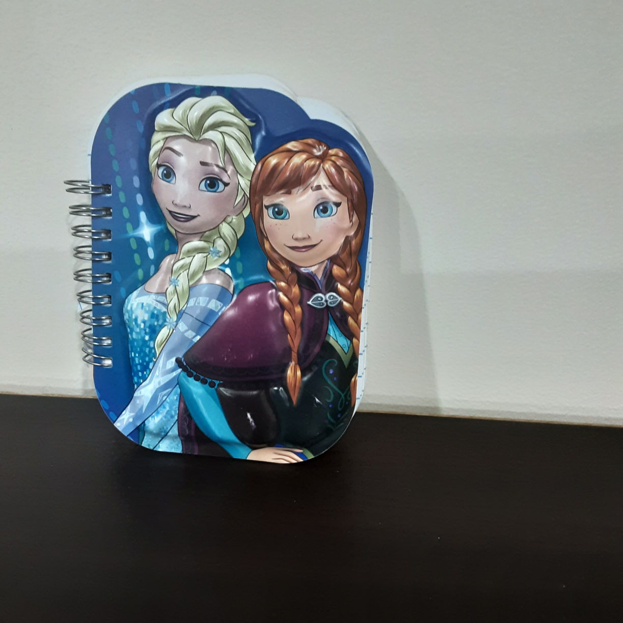 #freecycle Frozen Notebook