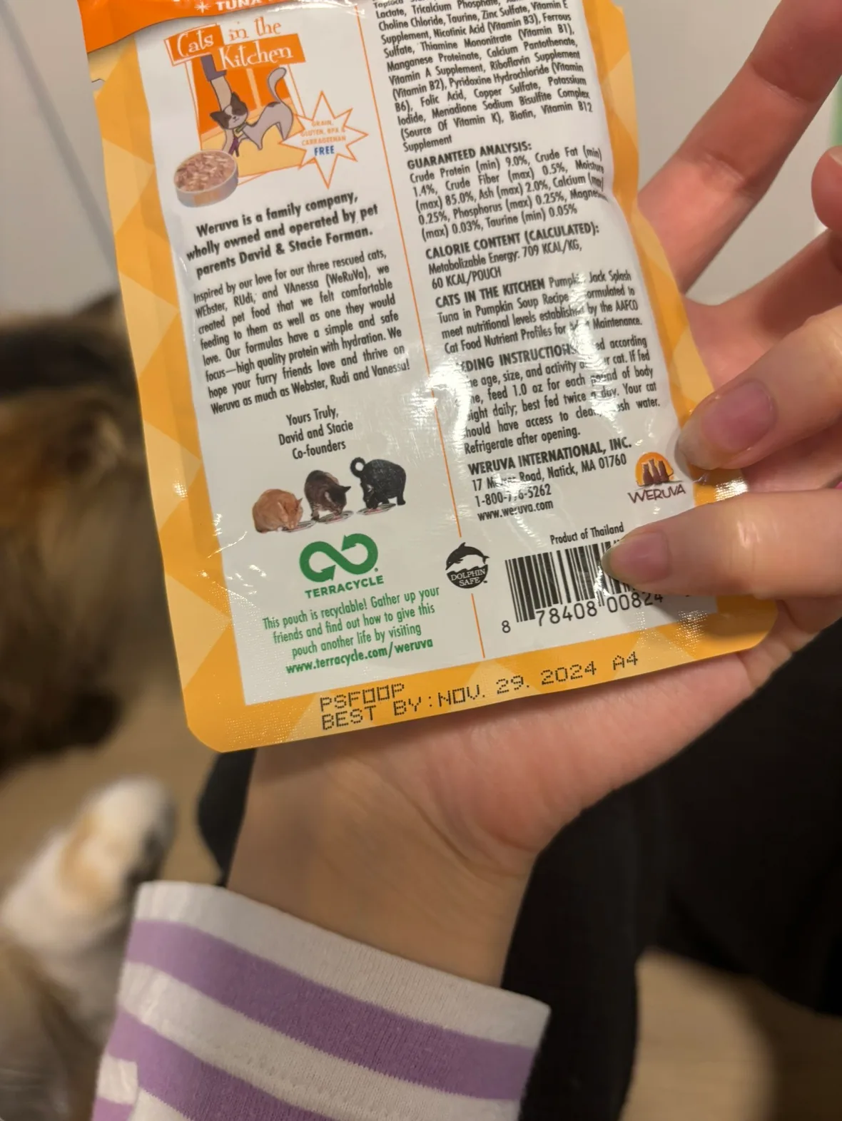 Tiki Cat Born Carnivore Baby Cat Food and WERUVA pumpkin tuna image indicator(2)