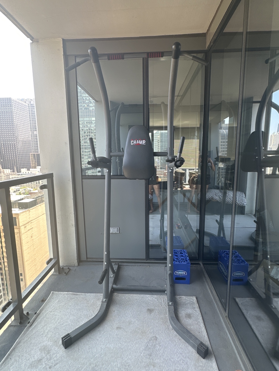Champ Pull-Up and Dip Station - photo 2