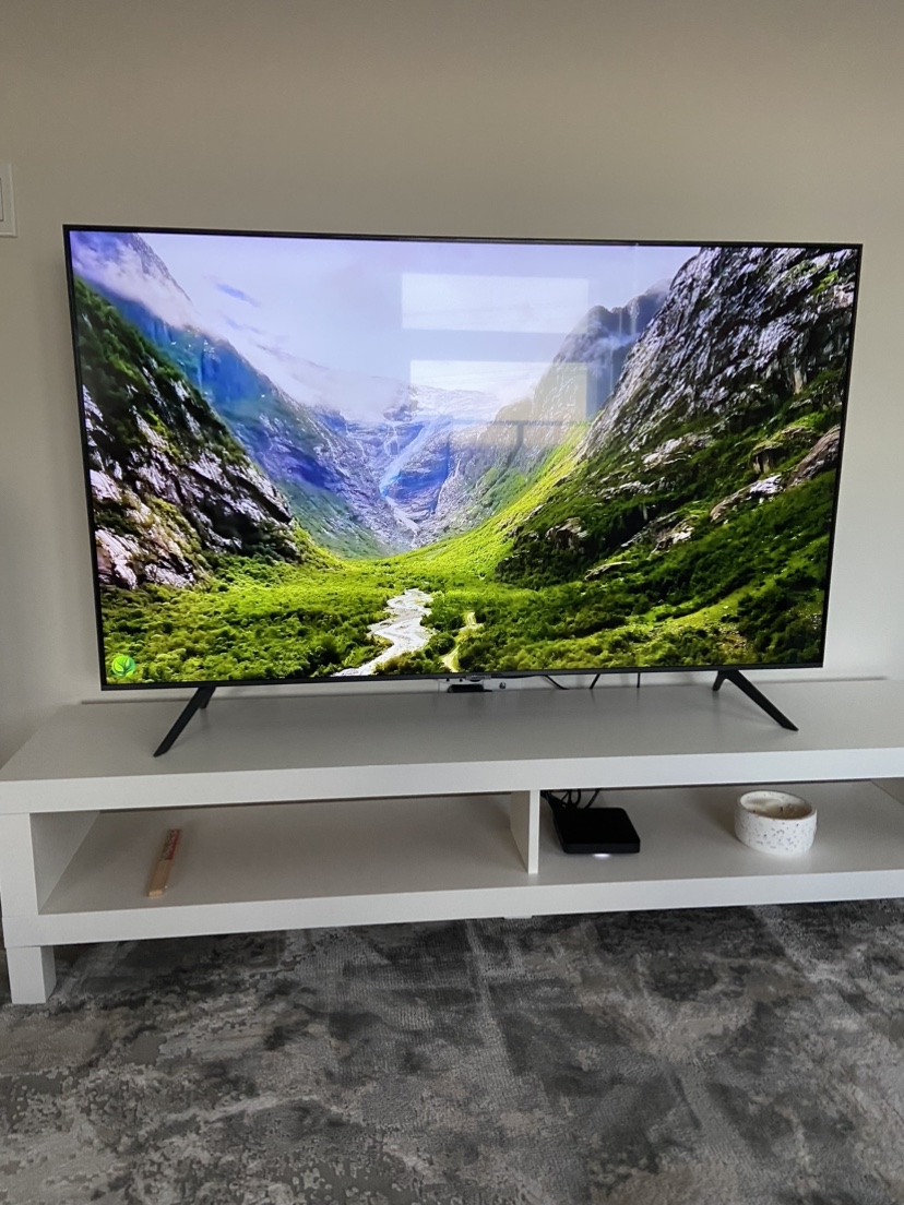 Samsung 65" 4K TV