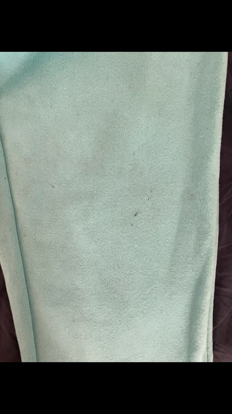 Women’s Shein Blue Sweatpants Size Medium Petite 🩵#freecycle image indicator(4)