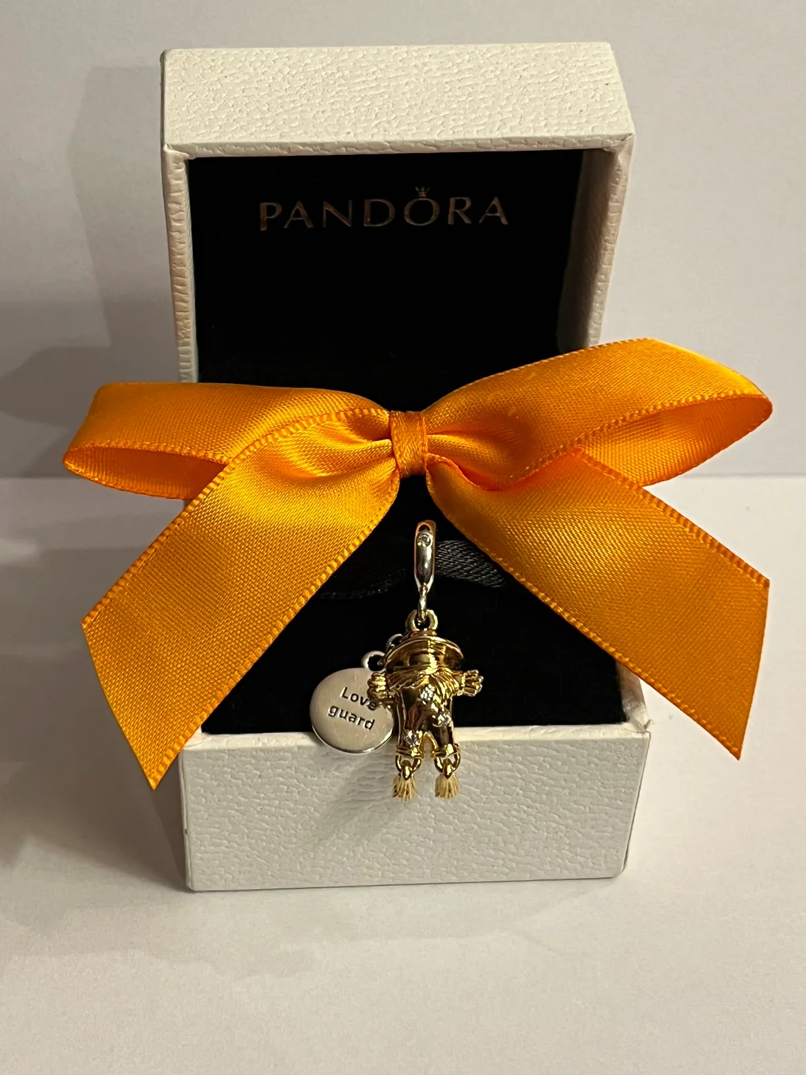 Pandora Love Guard Charm image indicator(3)