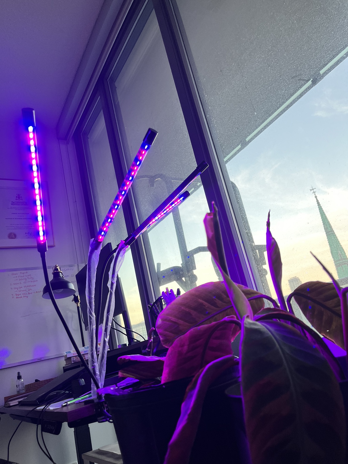 Plant Grow Lights - photo 3