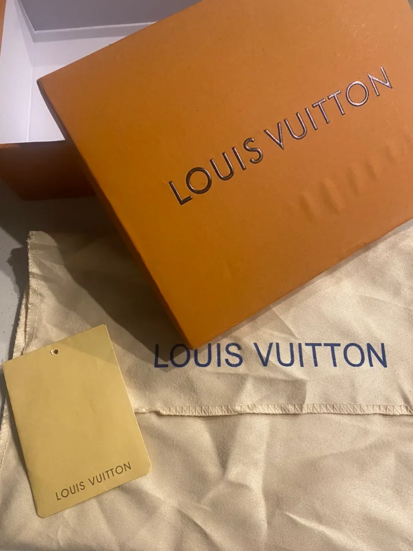 Louis Vuitton Purse image indicator(3)
