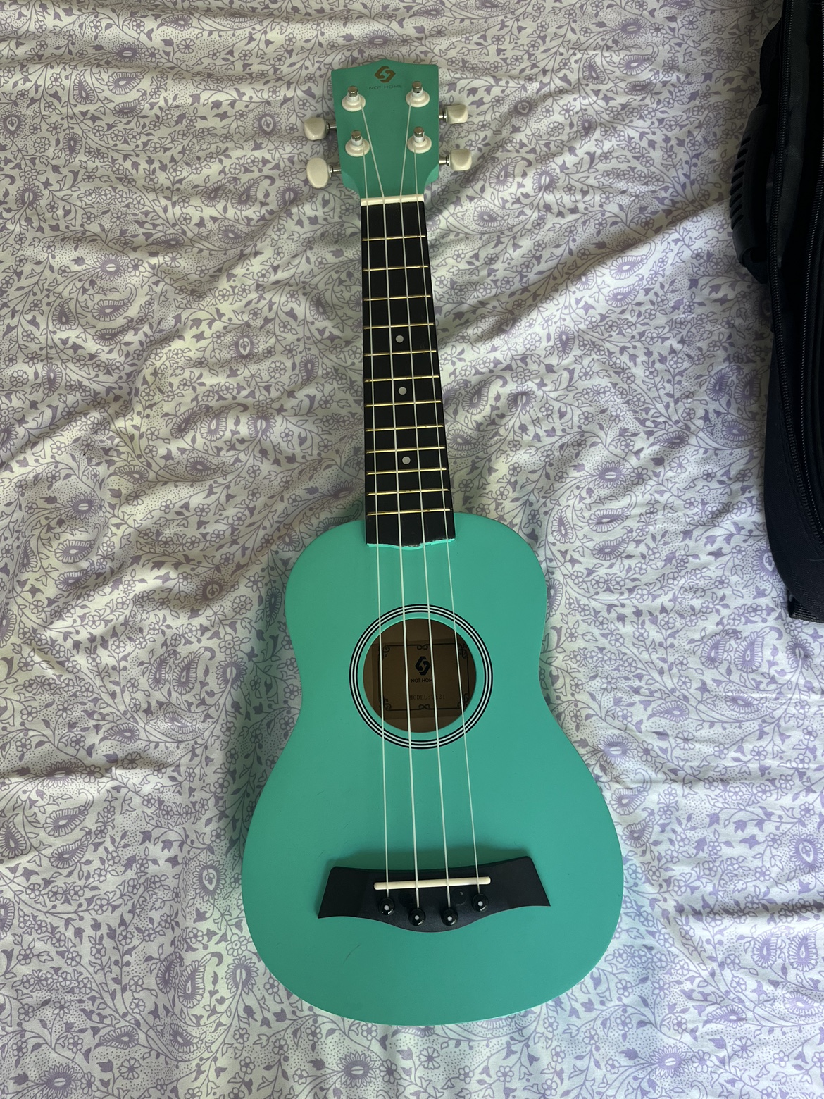 Teal Ukulele with Case and Pick