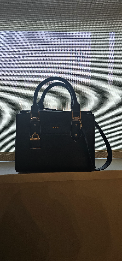 Aldo Black Handbag