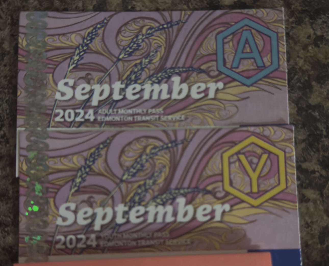 Edmonton Transit September 2024 Passes